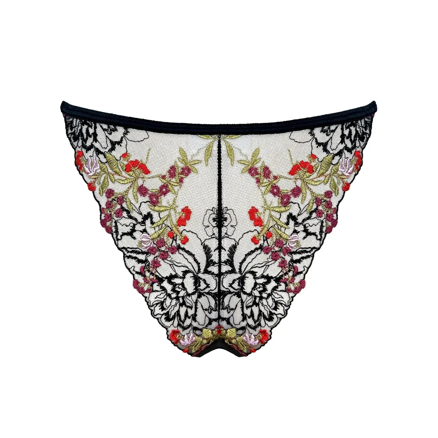 Black tulle base with botanical embroidery bikini with regular rise and minimal back coverage