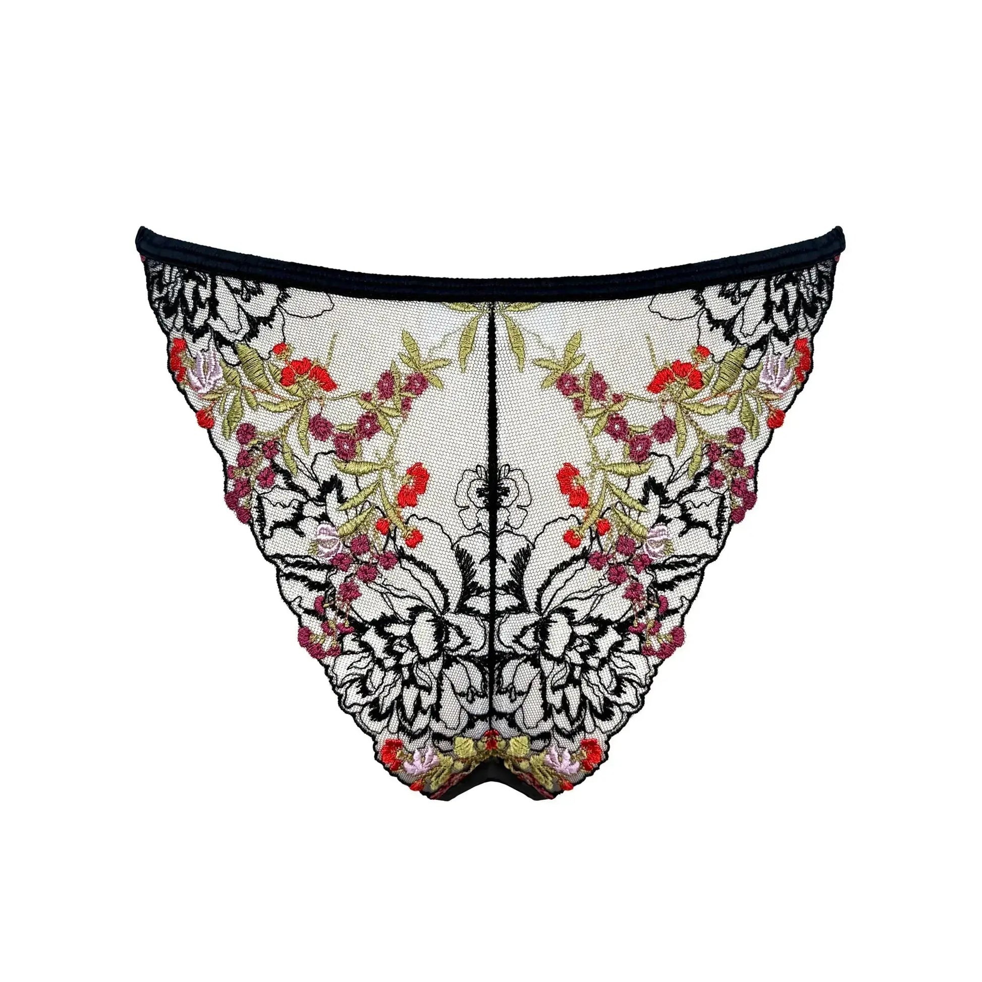 Black tulle base with botanical embroidery bikini with regular rise and minimal back coverage