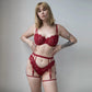 Red lace cheeky panty with scooped waist and soft microfiber lining