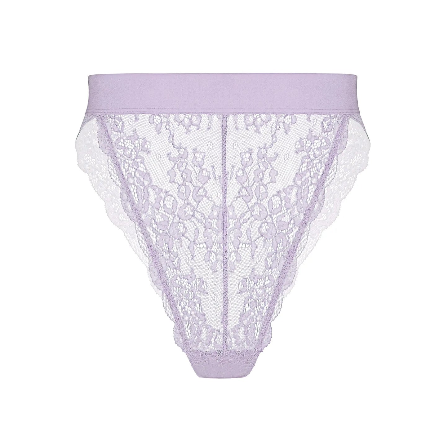 Pale purple stretch lace hi-leg panty with back cut-out and wide elastic band